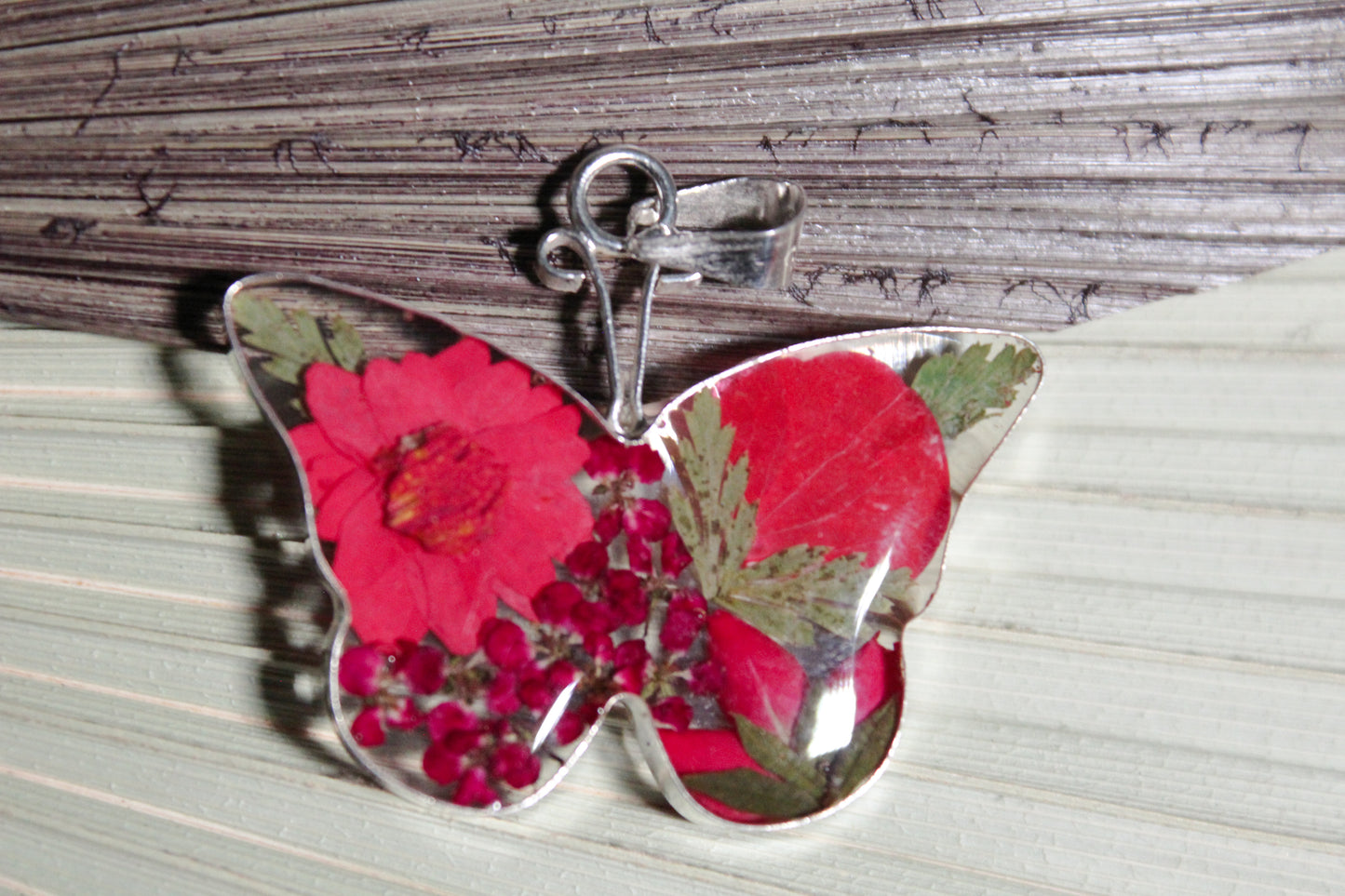 Set mariposas de flores